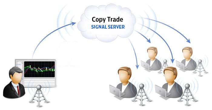 copytrade2